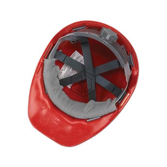 B305426 - Ergodyne - Personal Protective Equipment (PPE)