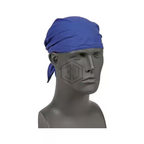 B305481 - Ergodyne - Personal Protective Equipment (PPE)