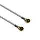 CB0.81-2IPX4L-10IN-6O - Lighthorse Technologies, Inc