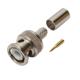 CBN-3110 - Quest Technology International Inc.