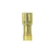 EDNF10250FIMB-Q - Panduit Corp