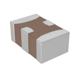 YFF21SC1H102MT000N - TDK Corporation