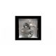 F5-LED-3-SD-RT-FMS - Concealite Life Safety Products