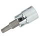 Sockets, Socket Handles